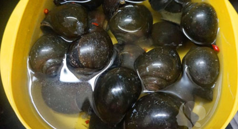 Sơ chế nguyên liệu Sơ chế nguyên liệu