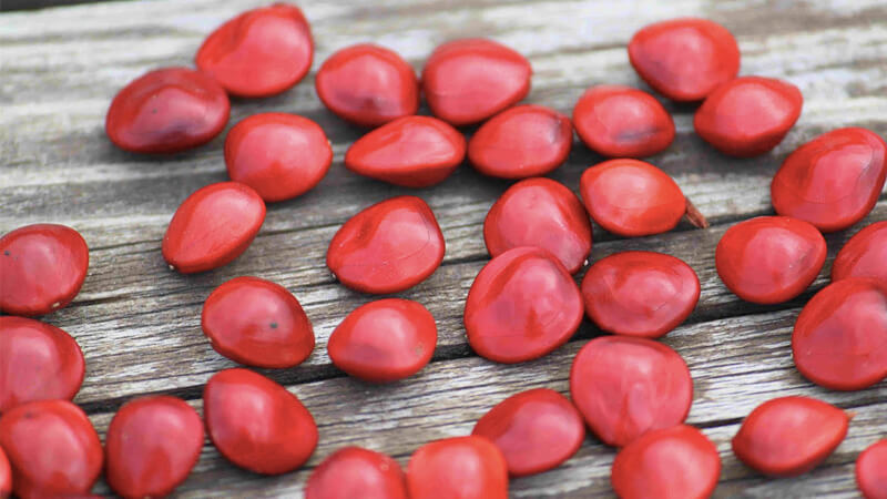 Sự thật ăn chè đậu đỏ ngày Thất Tích sẽ giúp bạn tìm được người yêu