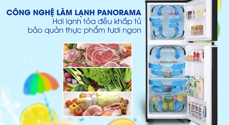 Panorama- Tủ lạnh Panasonic Inverter 188 lít NR-BA229PKVN