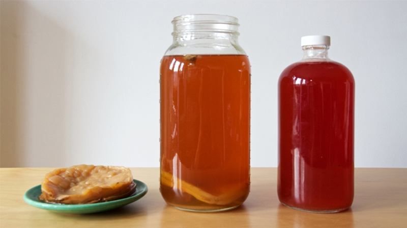 Vận chuyển kombucha như thế nào?