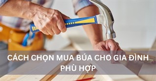 Cách chọn mua búa cho gia đình phù hợp với nhu cầu
