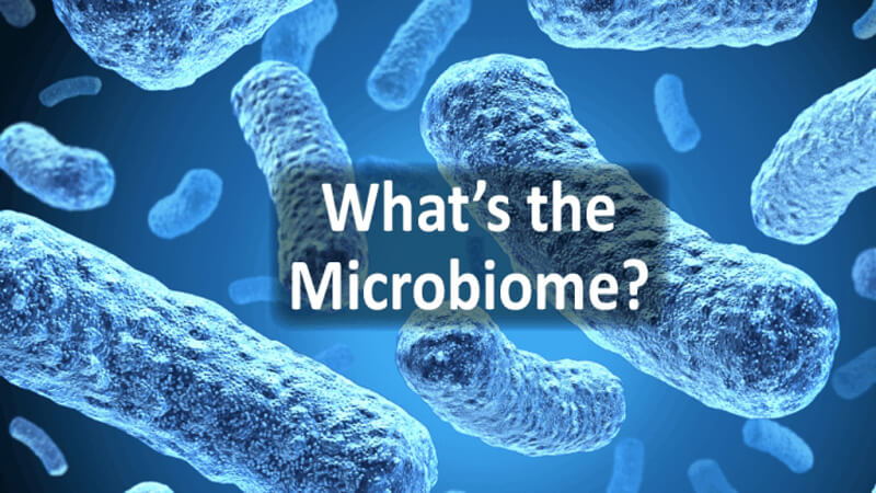 Xu hướng làm đẹp mới: Làm đẹp bằng men vi sinh Microbiome là gì?