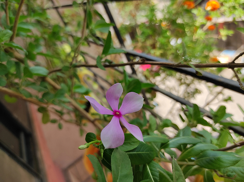 redmi_note_9_pro_max_closeup redmi_note_9_pro_max_closeup