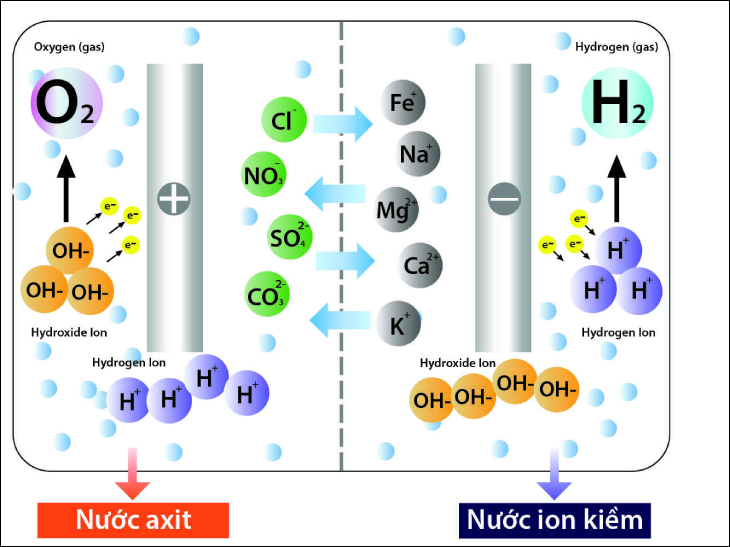 nguyên lý hoạt động của máy lọc nước điện giải ion 