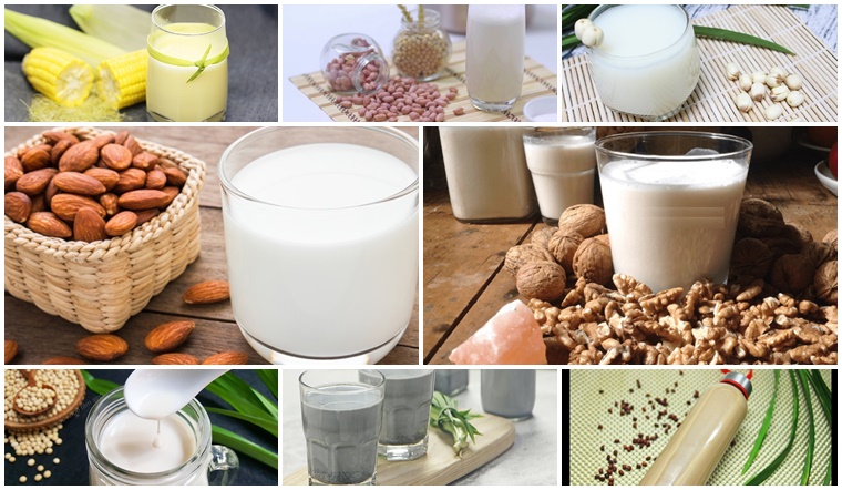 Sữa hạt: Có các loại sữa hạt nào và loại nào bổ dưỡng nhất?