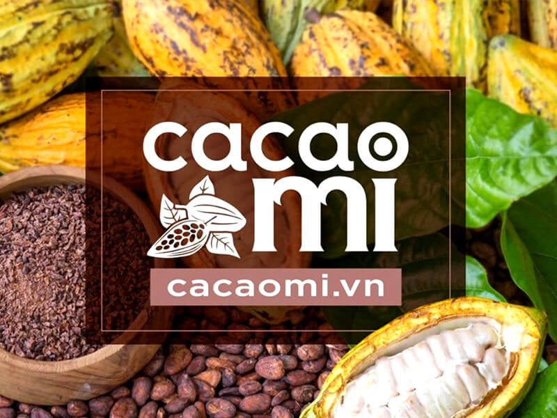Bột ca cao Cacaomi có ngon không? Các loại ca cao Cacaomi tại Vifranco.com.vn