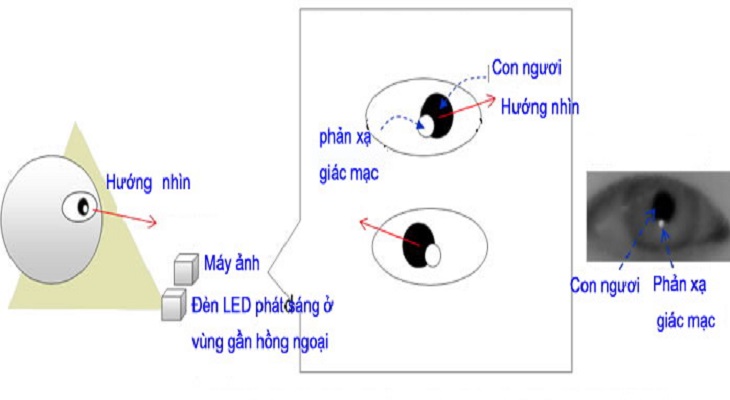 Công nghệ Tobii Eye Tracking