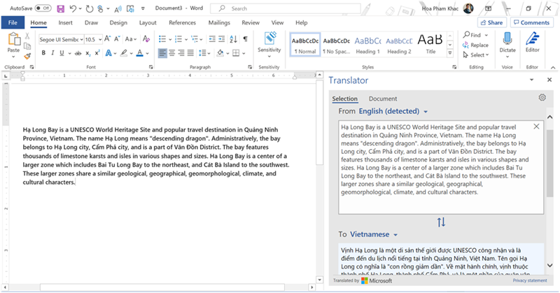Translate Selection Translate Selection