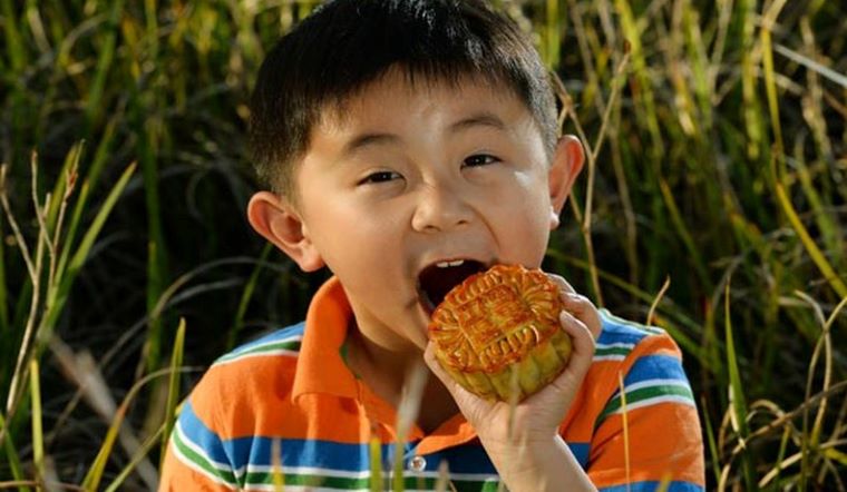 Trẻ em có nên ăn bánh trung thu?
