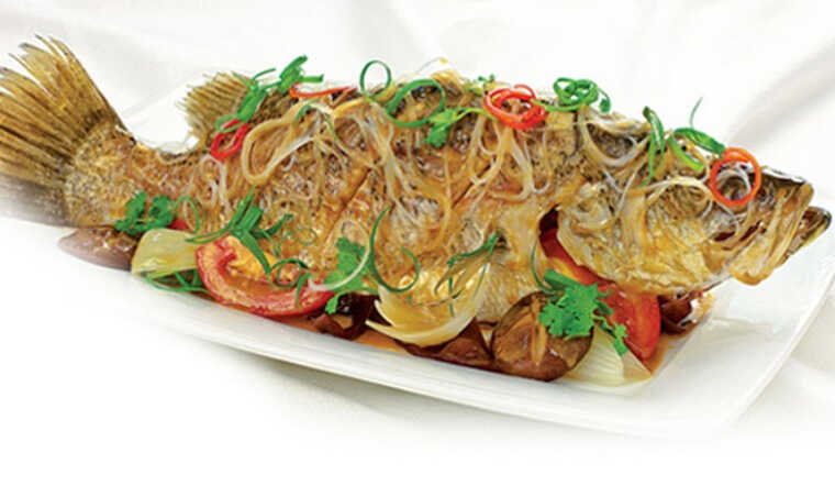 Cách làm cá chẽm chưng tương, món ăn dân dã của miền Tây sông nước
