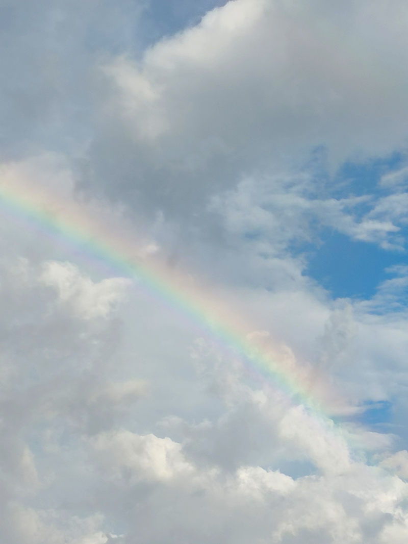 ảnh chụp từ vivo V20