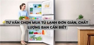 Tư vấn chọn mua tủ lạnh đơn giản, chất lượng bạn cần biết