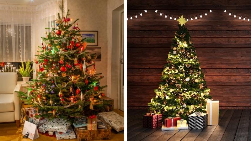 Một số mẫu cây thông Noel đẹp cho mùa Giáng sinh