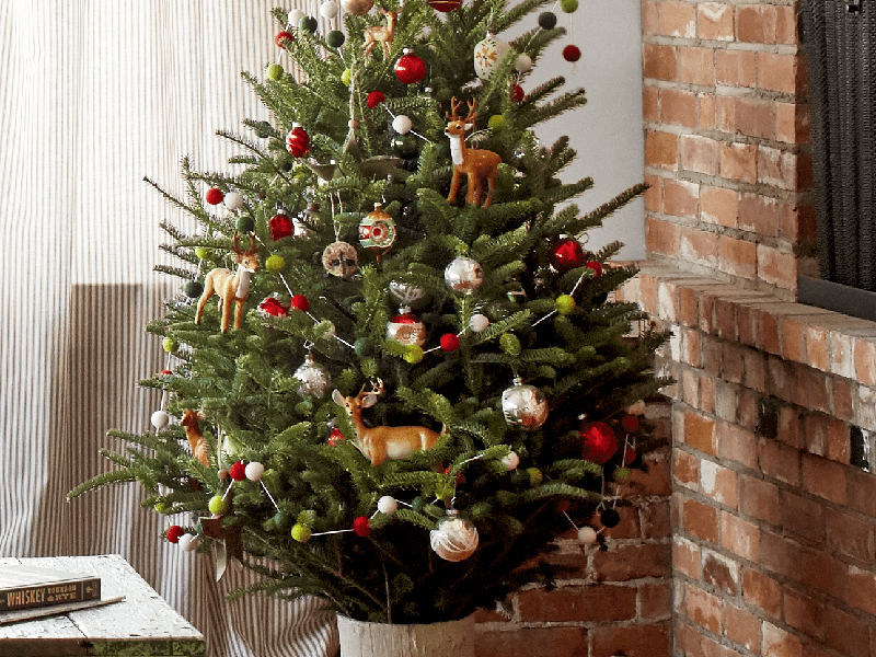 20 ý tưởng trang trí cây thông Noel tại nhà đẹp đơn giản