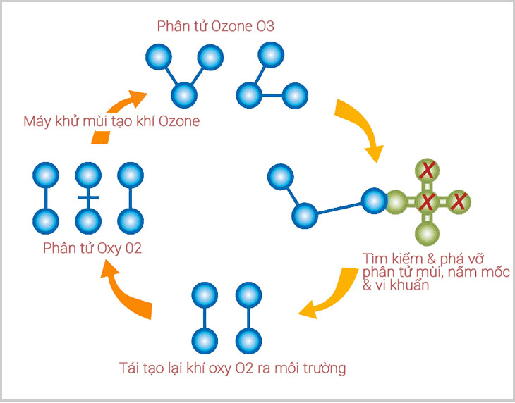 Quy trình khử trùng bằng ozone trên máy lọc không khí