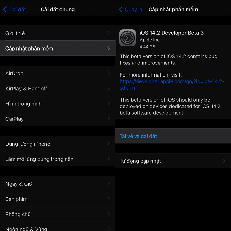Cách cập nhật lên iOS 14.2 Beta 3 với nhiều khắc phục lỗi tốt hơn