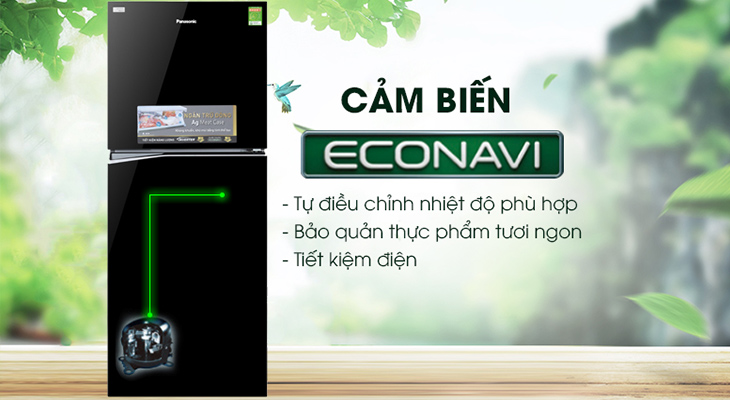 Đánh giá chi tiết tủ lạnh Panasonic NR-BL359PKVN và NR-BL389PKVN - Eco