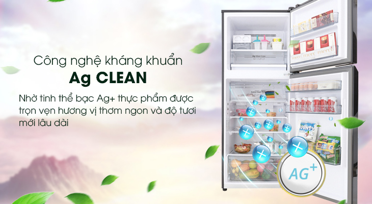 Đánh giá chi tiết tủ lạnh Panasonic NR-BL359PKVN và NR-BL389PKVN -  Ag Clean