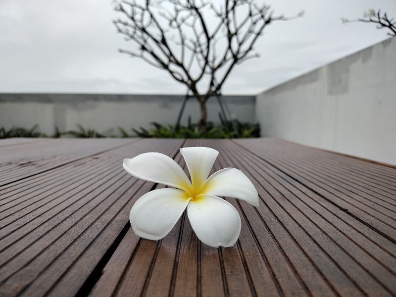 ảnh chụp từ realme 7i ảnh chụp từ realme 7i