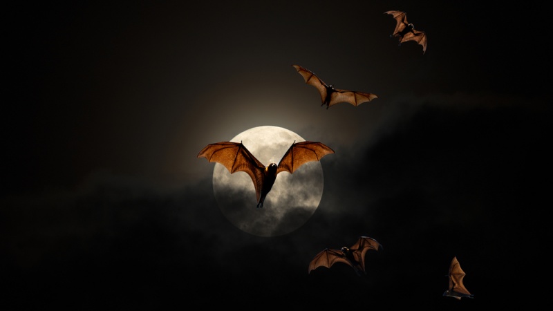5 ứng dụng và game hấp dẫn đang FREE cho iPhone và iPad, có game nhập vai đế quốc ma cà rồng Vampire Fall 5 ứng dụng và game hấp dẫn đang FREE cho iPhone và iPad, có game nhập vai đế quốc ma cà rồng Vampire Fall
