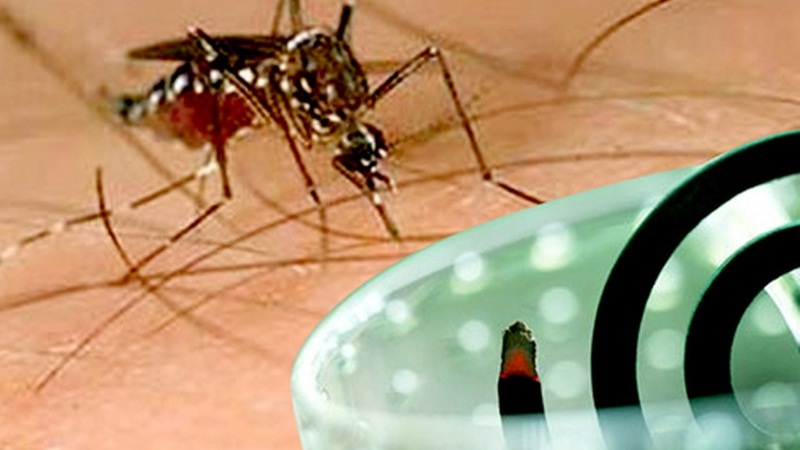 Top 5 loại nhang muỗi có mùi dễ chịu, chất lượng được nhiều người tin dùng
