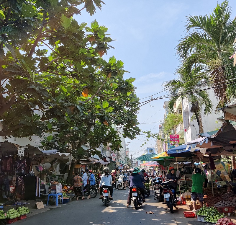 Ảnh chụp trong môi trường ánh sáng hoàn hảo