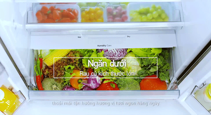 2 vegetable compartments of Panasonic Inverter 550 liter Refrigerator NR-DZ600GXVN