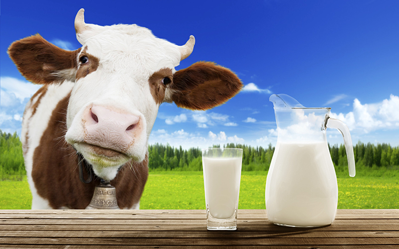 Inex fresh cream milk is made from pure fresh cow milk