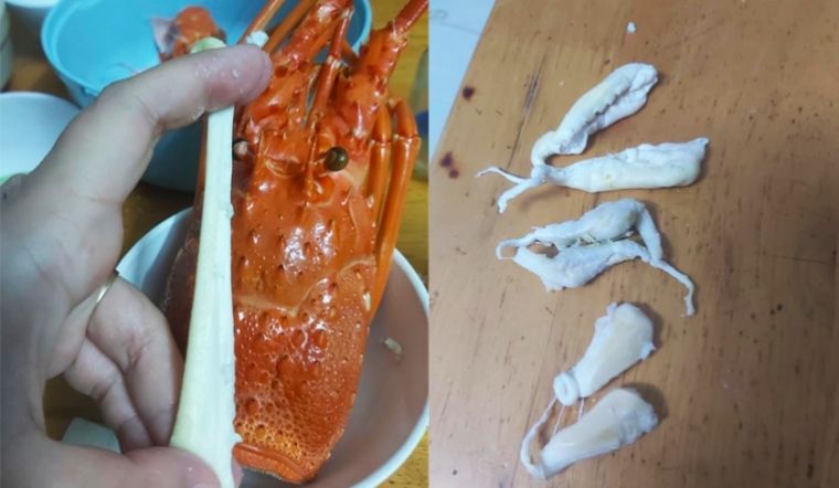 Thực hư về miếng trắng dai như kẹo cao su trong đầu tôm hùm