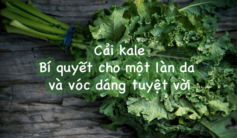 Cải kale - Bí quyết cho một làn da và vóc dáng tuyệt vời