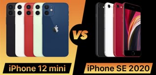 Nên mua iPhone 12 mini hay iPhone SE 2020? Đâu là chiếc điện thoại nhỏ gọn được lòng iFan?