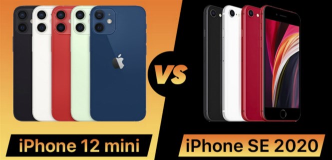 Nên mua iPhone 12 mini hay iPhone SE 2020? Đâu là chiếc điện thoại nhỏ gọn được lòng iFan?