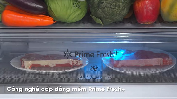 Ngăn đông mềm diệt khuẩn Prime Fresh -3 độ C chế biến thực phẩm tươi sống không rã đông