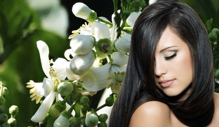 Thuốc nhuộm tóc thảo dược nào tốt nhất hiện nay?