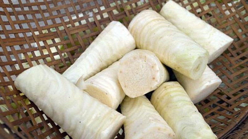 Cách làm gỏi củ hũ dừa bao tử tươi siêu ngon cho bữa cơm cuối tuần