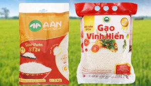 Gạo ST24 là gạo gì? Các loại gạo ST24 ở Bách hóa XANH