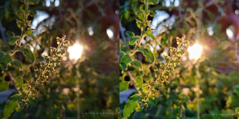 Cach-tai-Gcam-Go-moi-nhat