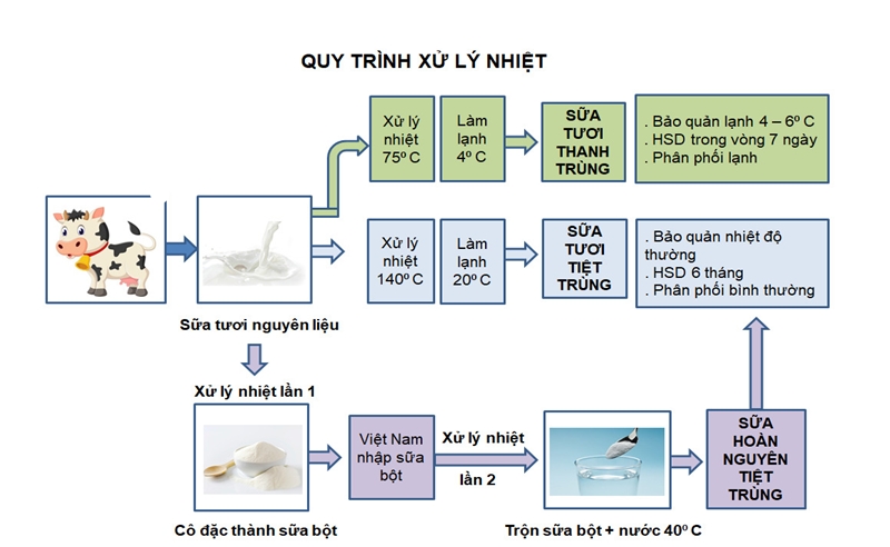 Quy trình sản xuất sữa bò Lothamilk