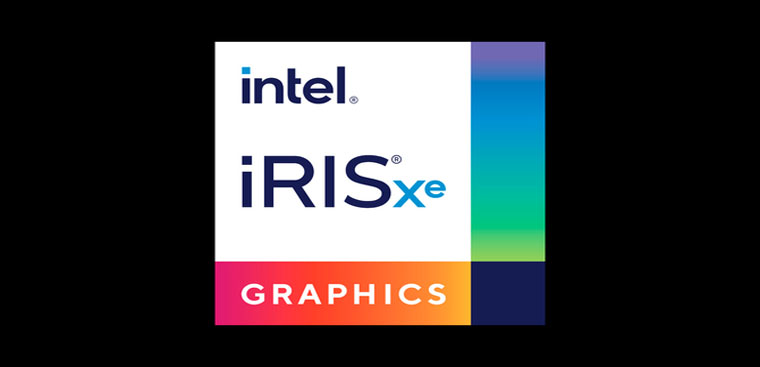 Cách chăm sóc Iris như thế nào?