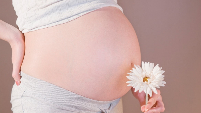 Cóc giúp Tăng sức đề kháng