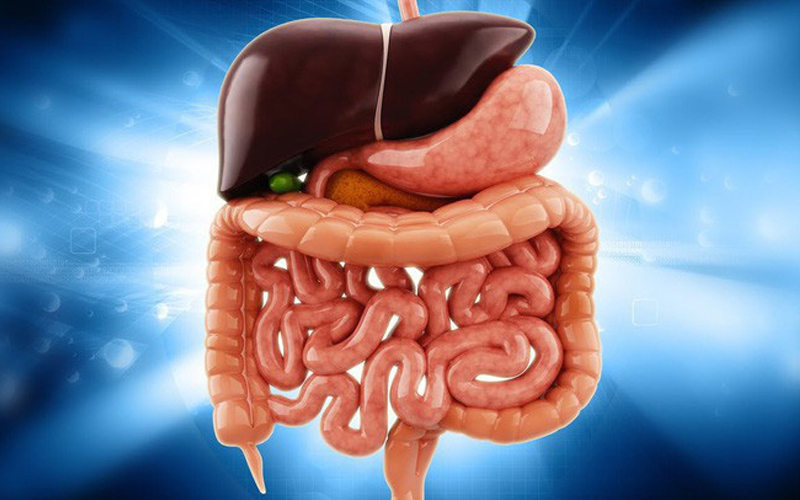Detox giúp thanh lọc gan Detox giúp thanh lọc gan