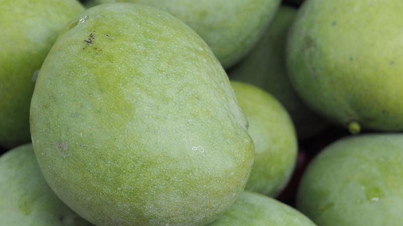 Cách chọn xoài xanh tươi ngon và lưu ý khi làm