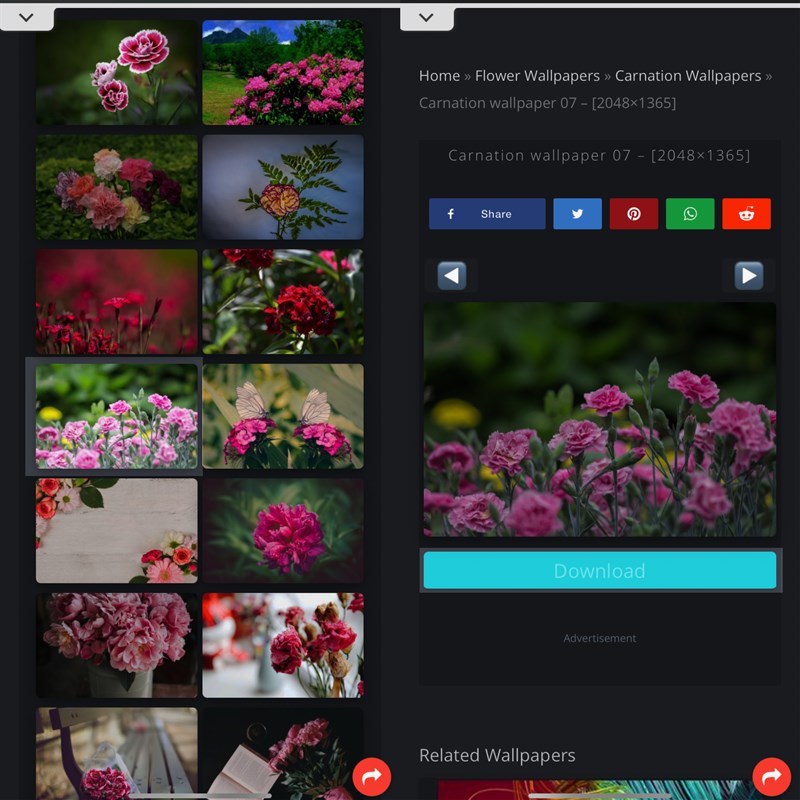 Bật mí cho bạn 5 cách đổi hình nền iPhone độc đáo theo sở thích riêng Bật mí cho bạn 5 cách đổi hình nền iPhone độc đáo theo sở thích riêng