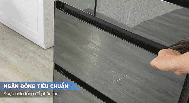 Ngăn đông tiêu chuẩn - Tủ lạnh Panasonic Inverter dòng NR-F-03GT-X2