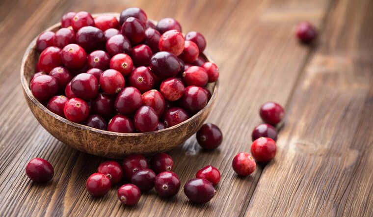 Cranberry hay nam việt quất là gì? 7 Công dụng của Cranberry