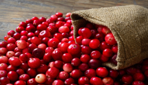 Mua trái nam việt quất (cranberry) ở đâu tại TP.HCM để vừa ngon vừa chất lượng?