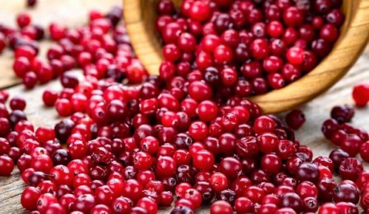 Những ai không nên ăn trái nam việt quất?