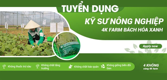 4K Farm Bách hóa XANH tuyển dụng Kỹ sư Nông nghiệp tại Vũng Tàu