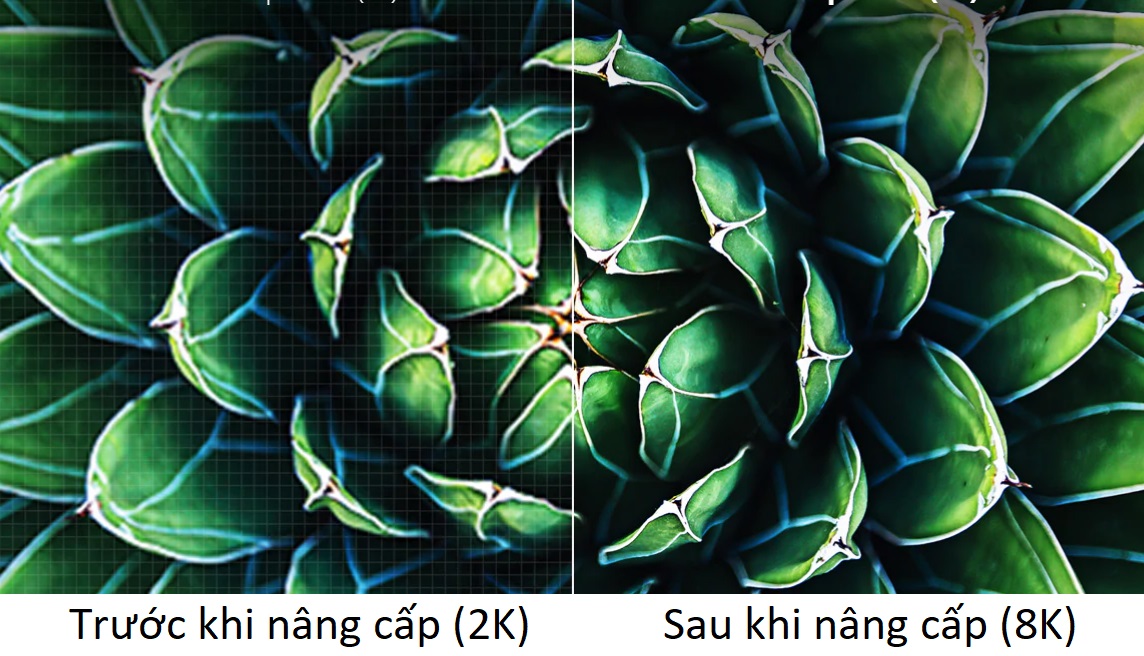 Nâng cấp lên 8K