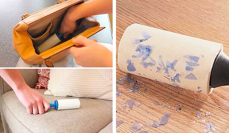 Những công dụng thần thánh không phải ai cũng biết của cây lăn bụi